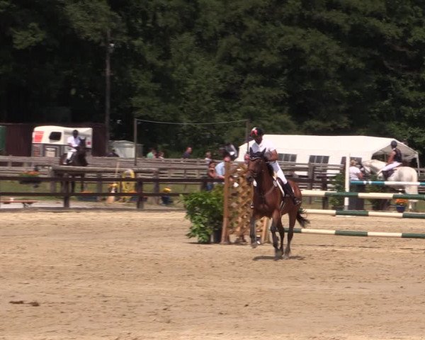 Reitturnier Hemer-Oese an der Edelburg 2018