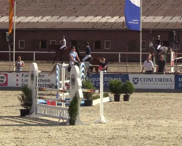 Reitturnier Wietmarschen 2018