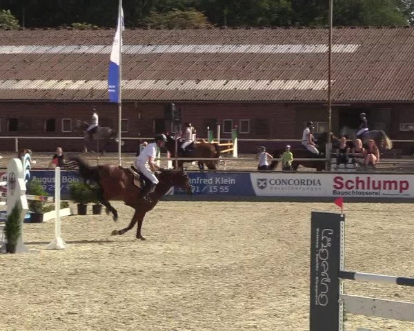 Reitturnier Wietmarschen 2018