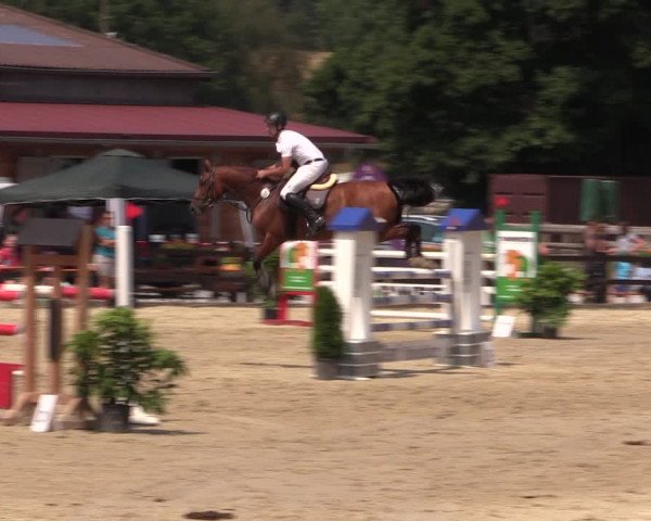 Reitturnier Hemer-Oese an der Edelburg 2018