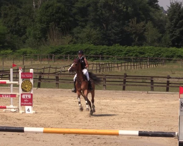 Reitturnier Hemer-Oese an der Edelburg 2018