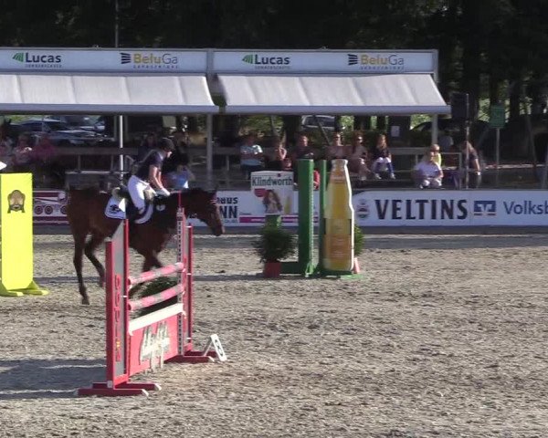 Reitturnier Wietmarschen 2018