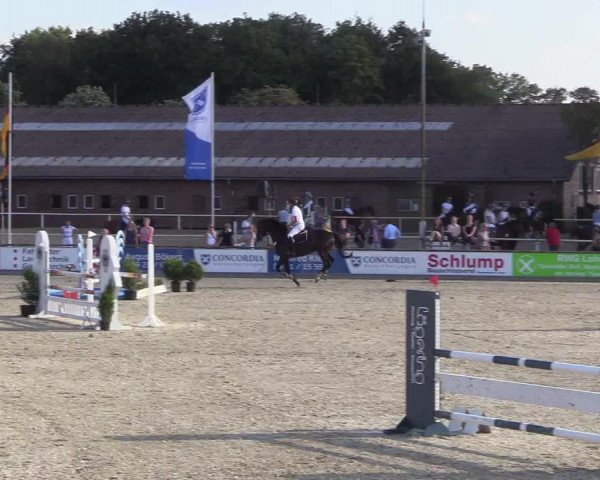 Reitturnier Wietmarschen 2018