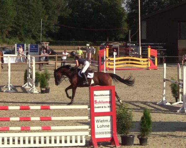 Reitturnier Wietmarschen 2018
