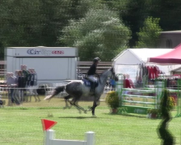 Reitturnier Hanerau-Hademarschen 2018