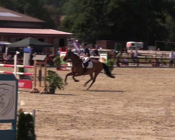 Reitturnier Hemer-Oese an der Edelburg 2018