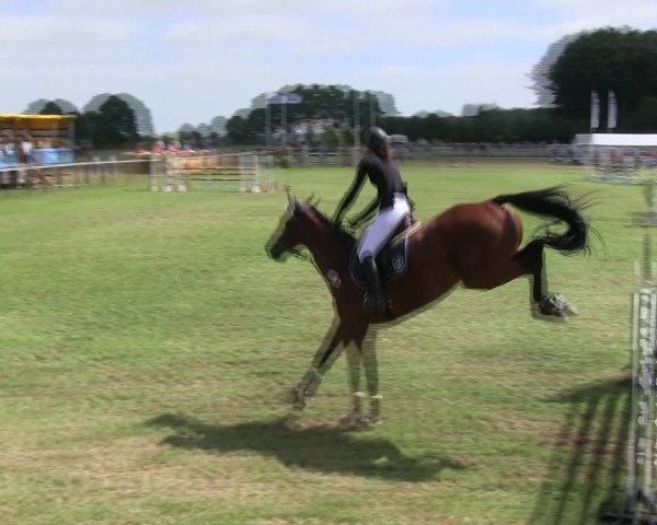 Reitturnier Hanerau-Hademarschen 2018