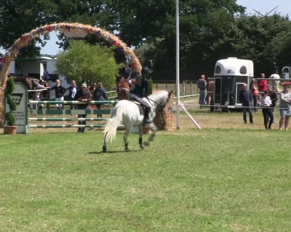 Reitturnier Hanerau-Hademarschen 2018