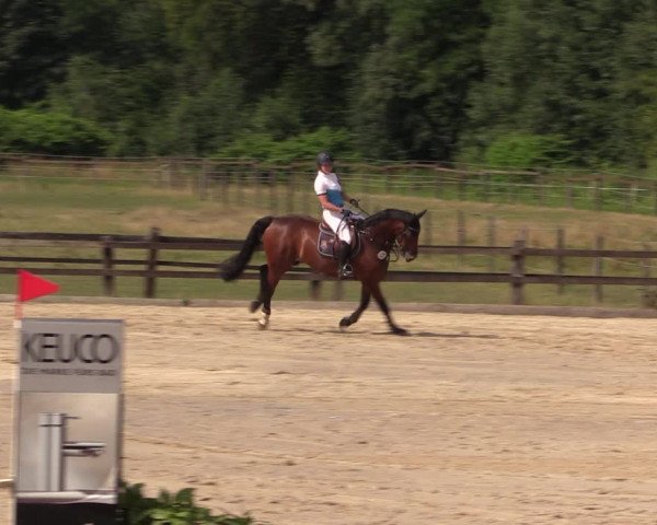 Reitturnier Hemer-Oese an der Edelburg 2018