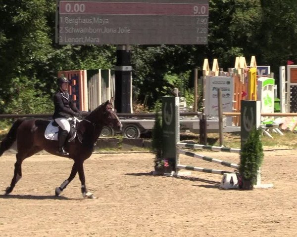 Reitturnier Marienheide-Kempershöhe 2018