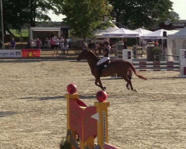 Reitturnier Wietmarschen 2018