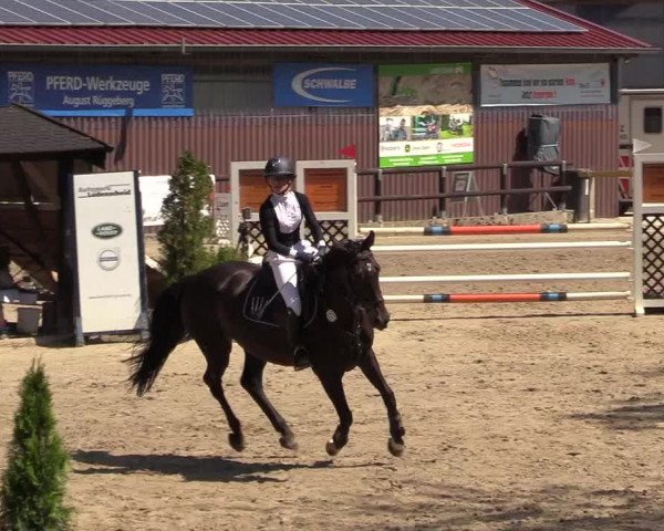 Reitturnier Marienheide-Kempershöhe 2018
