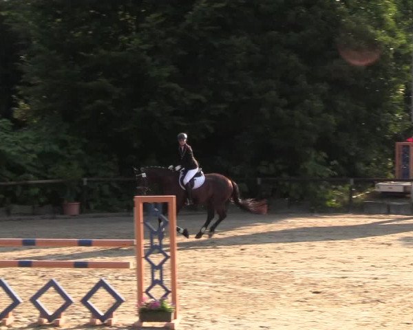 Reitturnier Marienheide-Kempershöhe 2018
