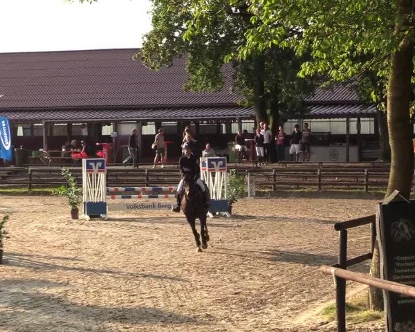 Reitturnier Marienheide-Kempershöhe 2018