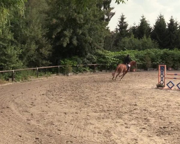 Reitturnier Marienheide-Kempershöhe 2018
