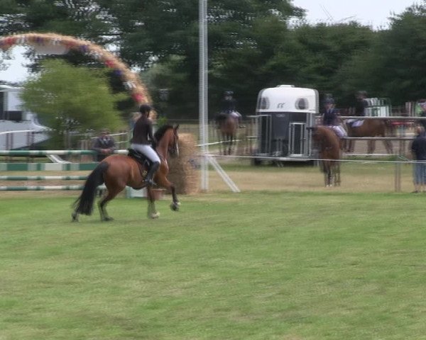 Reitturnier Hanerau-Hademarschen 2018