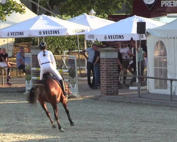 Reitturnier Wietmarschen 2018