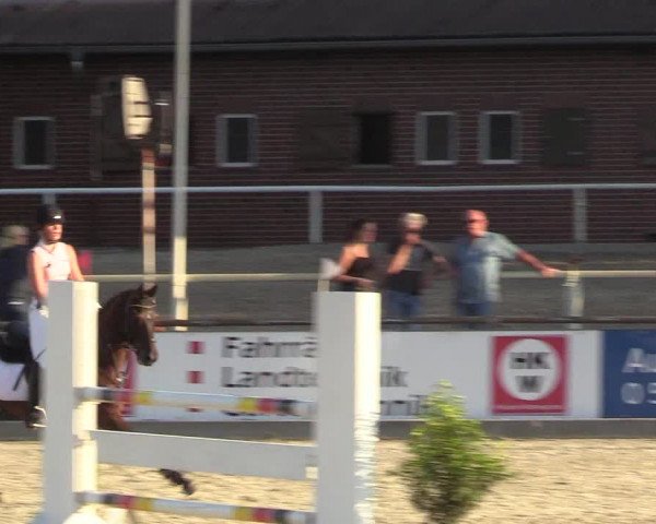 Reitturnier Wietmarschen 2018