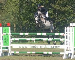 stallion Aercini (Oldenburg, 2009, from Aerobic TN)