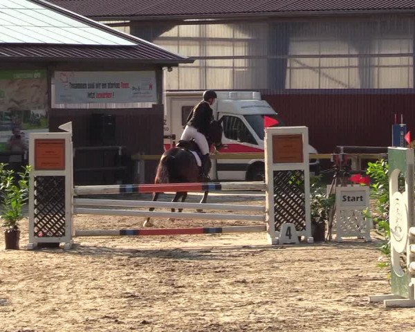Reitturnier Marienheide-Kempershöhe 2018