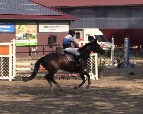 Reitturnier Marienheide-Kempershöhe 2018