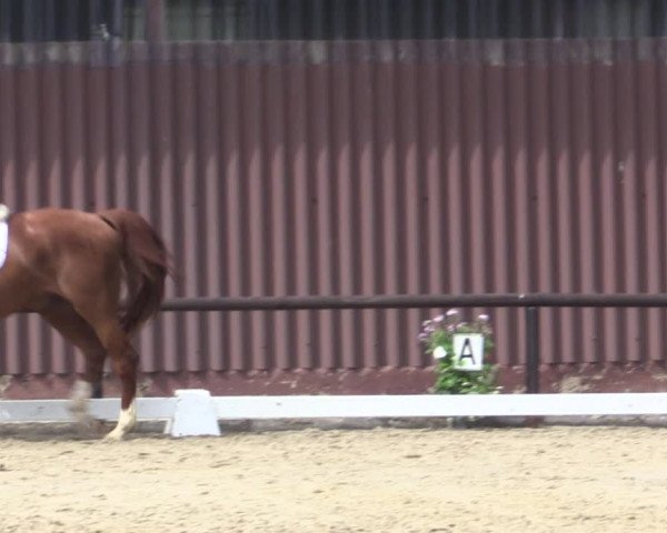 Reitturnier Marienheide-Kempershöhe 2018
