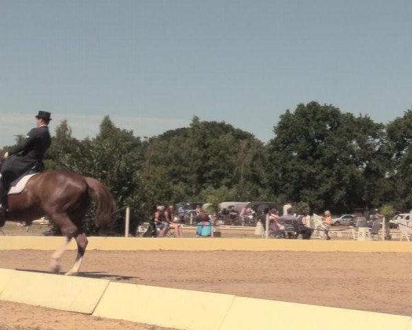 Reitturnier Wietmarschen 2018
