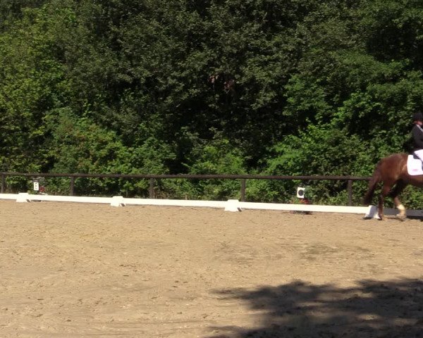 Reitturnier Marienheide-Kempershöhe 2018