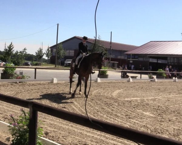 Reitturnier Marienheide-Kempershöhe 2018