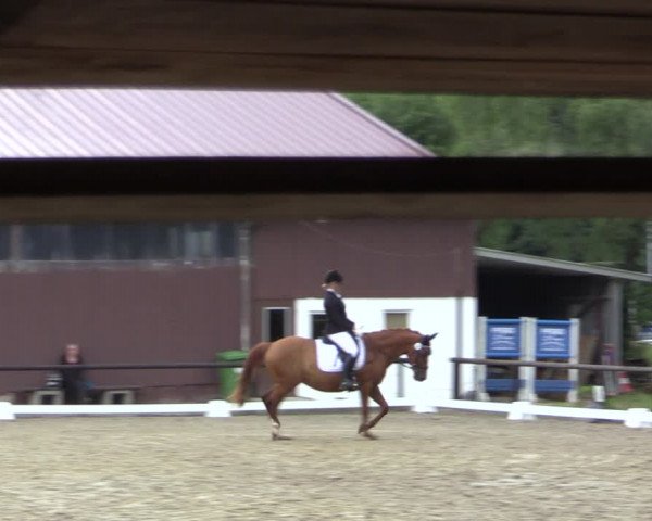 Reitturnier Marienheide-Kempershöhe 2018