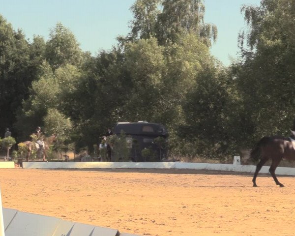 Reitturnier Wietmarschen 2018