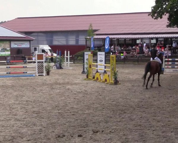 Reitturnier Marienheide-Kempershöhe 2018