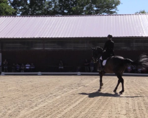 Reitturnier Marienheide-Kempershöhe 2018