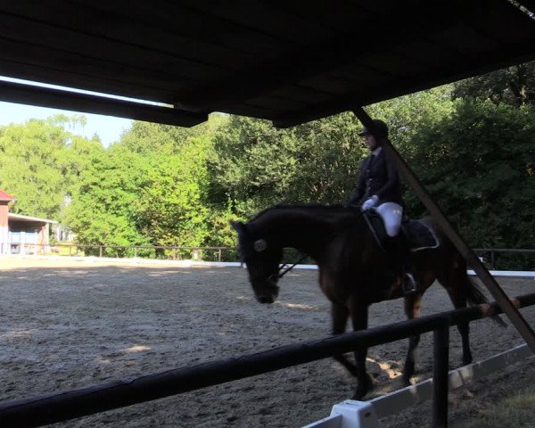 Reitturnier Marienheide-Kempershöhe 2018