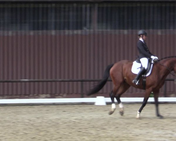 Reitturnier Marienheide-Kempershöhe 2018