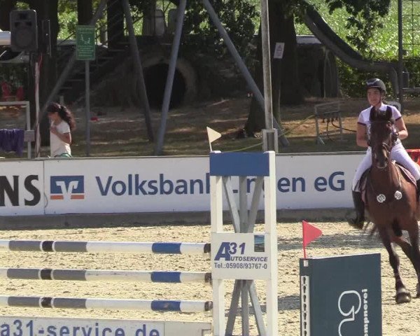 Reitturnier Wietmarschen 2018