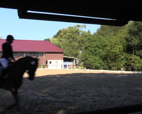 Reitturnier Marienheide-Kempershöhe 2018