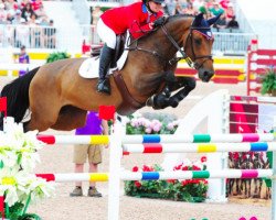 broodmare W Zermie 13 (KWPN (Royal Dutch Sporthorse), 2003, from Rubert R)