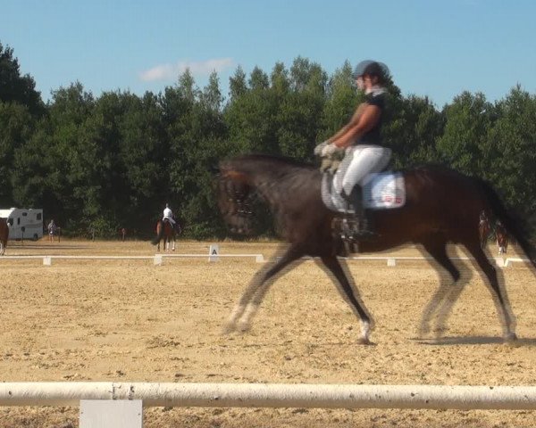 Reitturnier Wietmarschen 2018