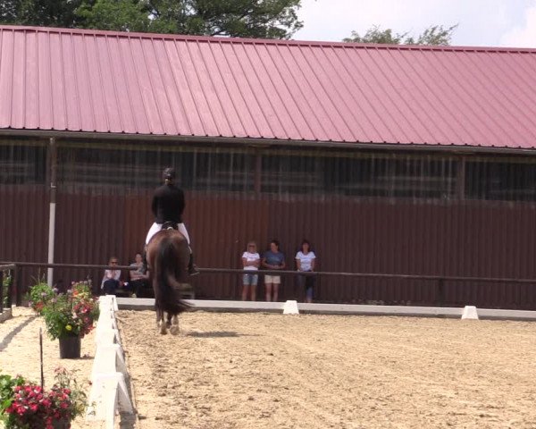 Reitturnier Marienheide-Kempershöhe 2018