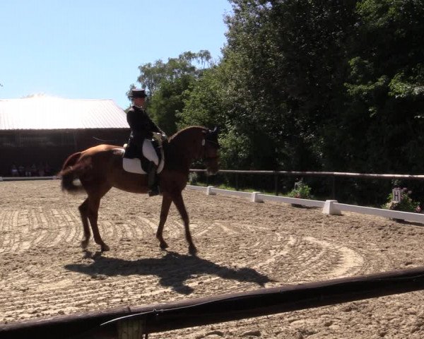 Reitturnier Marienheide-Kempershöhe 2018