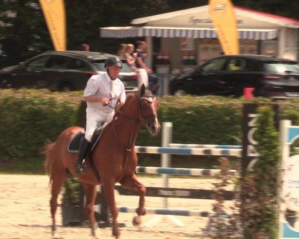 Reitturnier Vlotho-Exter 2018
