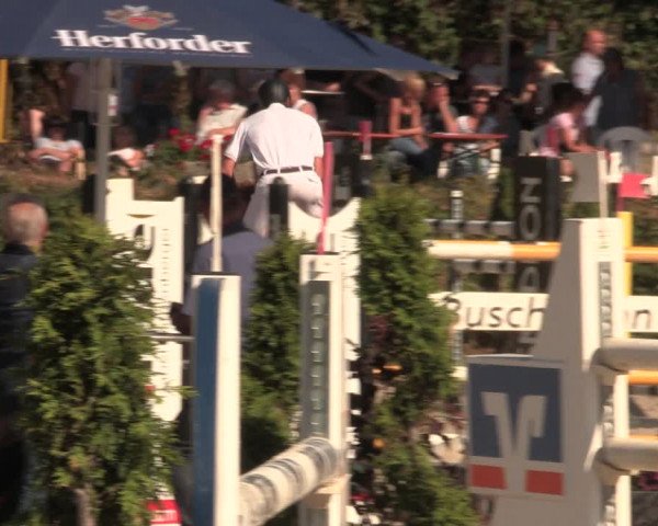 Reitturnier Vlotho-Exter 2018