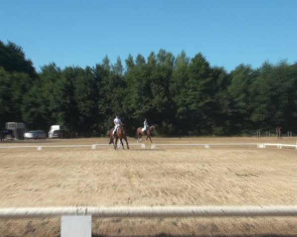 Reitturnier Wietmarschen 2018