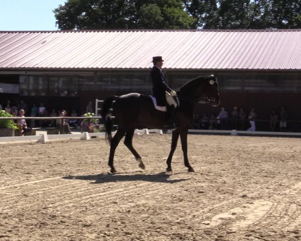 Reitturnier Marienheide-Kempershöhe 2018