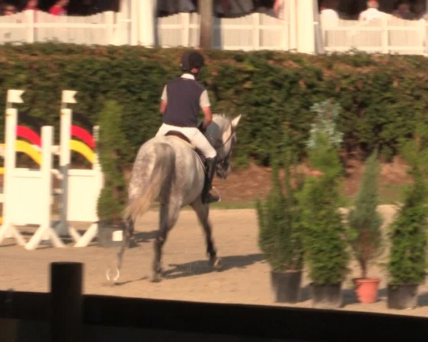 Reitturnier Vlotho-Exter 2018