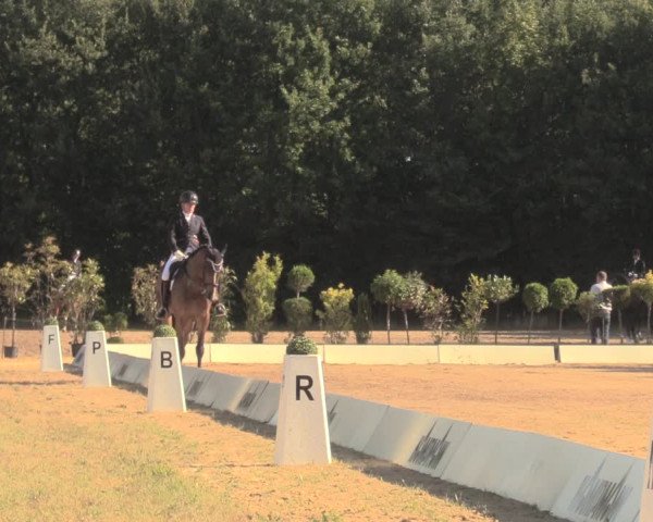 Reitturnier Wietmarschen 2018