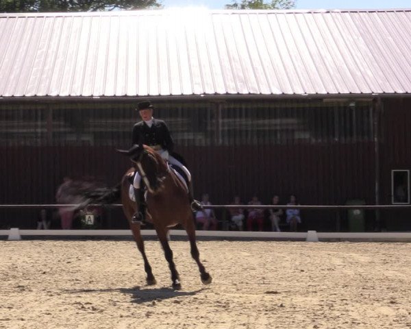 Reitturnier Marienheide-Kempershöhe 2018