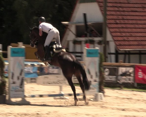 Reitturnier Vlotho-Exter 2018