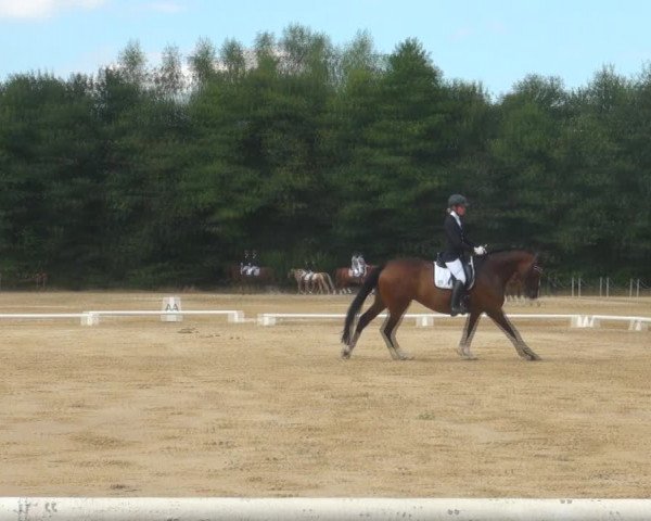 Reitturnier Wietmarschen 2018